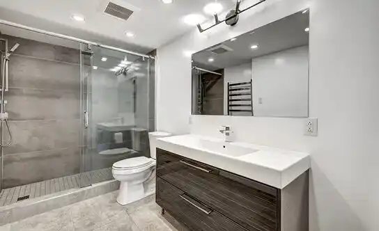 bathroom services Ferndale